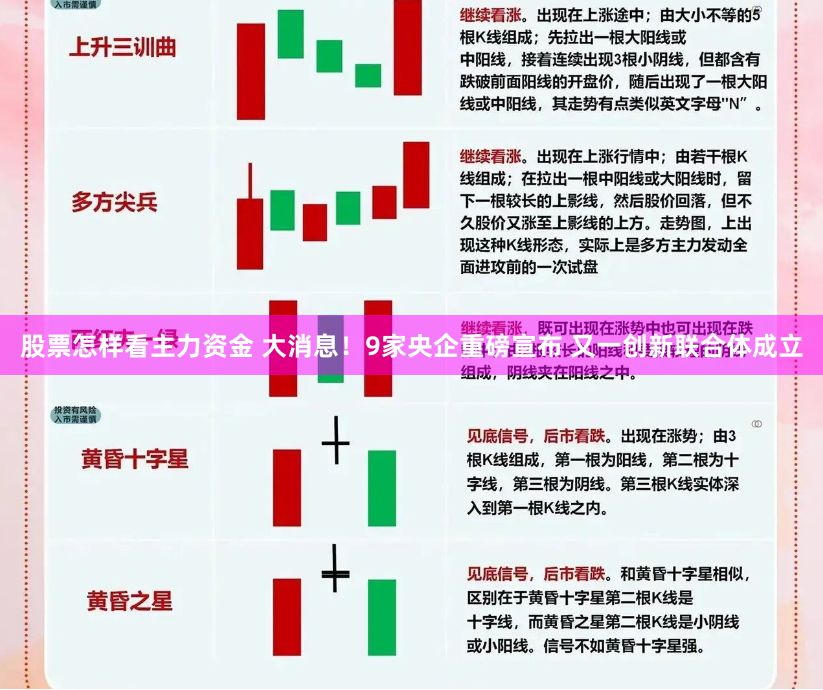 股票怎样看主力资金 大消息！9家央企重磅宣布 又一创新联合体成立
